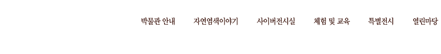 메뉴